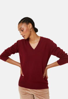 Cashmere V-neck sweater - Abel