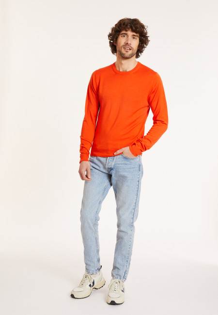 Crew neck sweater with logo in merino wool - Eddie