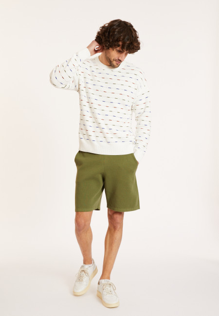 Cotton striped sweater - Danillo