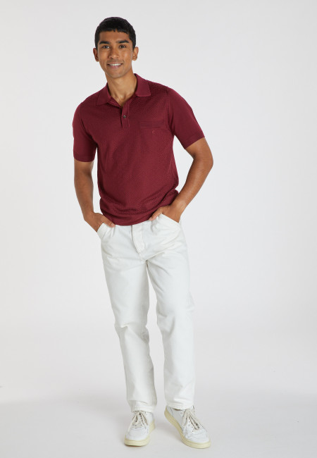 Fil Lumière patterned polo shirt - Albin