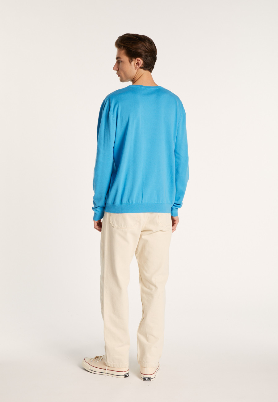 V-neck sweater in natural cotton - Bouddi