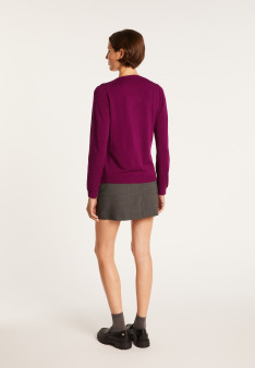 Pull col V Aristote