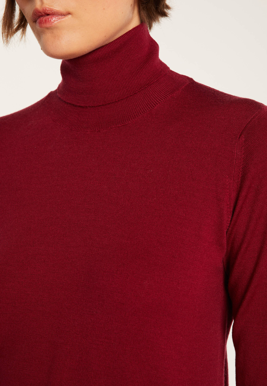 Polo neck jumper in merino wool - Elisaa