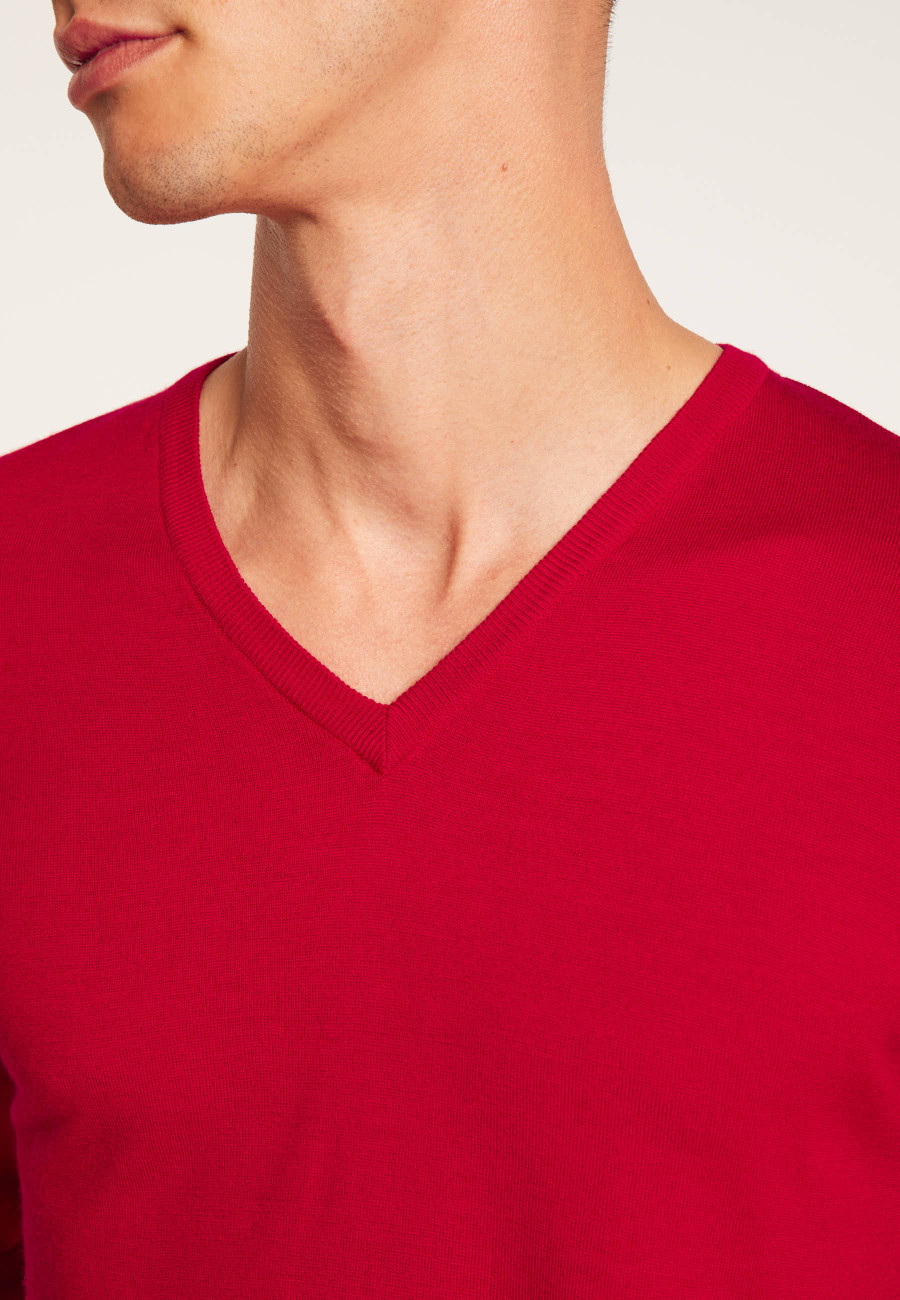 Merino Wool V-neck sweater Enricke