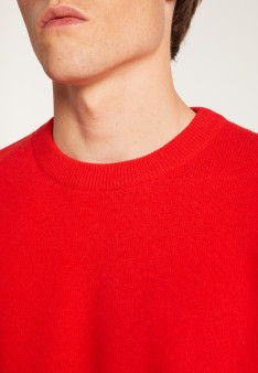 Merino wool crewneck sweater - Thomas