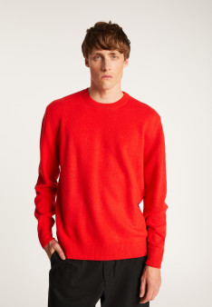 Merino wool crewneck sweater - Thomas