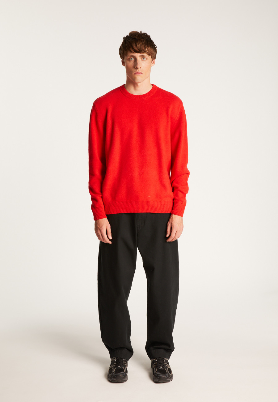 Merino wool crewneck sweater - Thomas