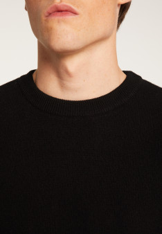 Merino wool crewneck sweater - Thomas