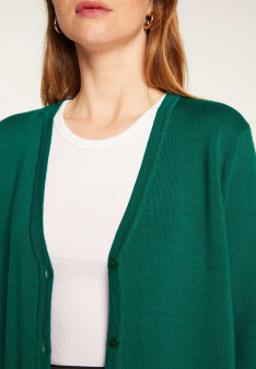 V-neck buttoned cardigan in merino wool - Alister